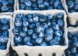 Nutrient-Dense, Whole-Food Diet Part 2
